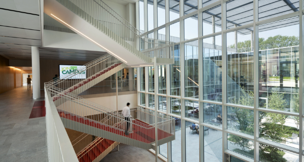 MEDTEC Schoolのサンプル問題とは?入手方法と利用方法を解説【イタリア私立医学部】 7 Campus